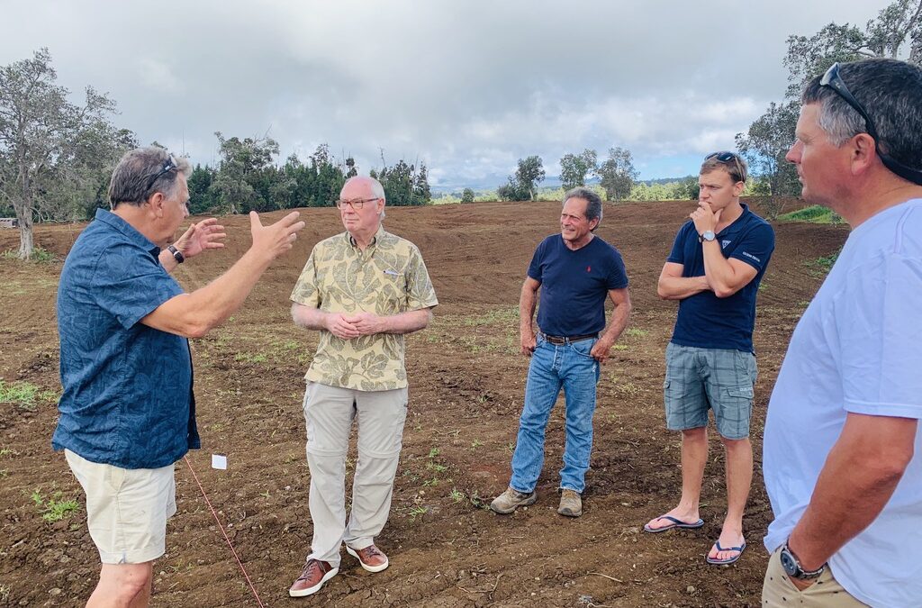 How to Grow Organic Lemon Orchards in Hawai’i