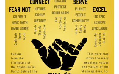 Shaka Curriculum in Development