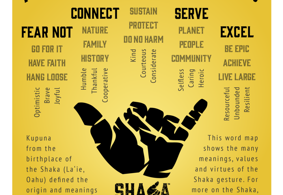 Shaka Curriculum in Development