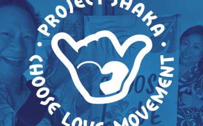 Collab Curriculum with Choose Love Movement